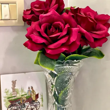 ホステル Delphi *